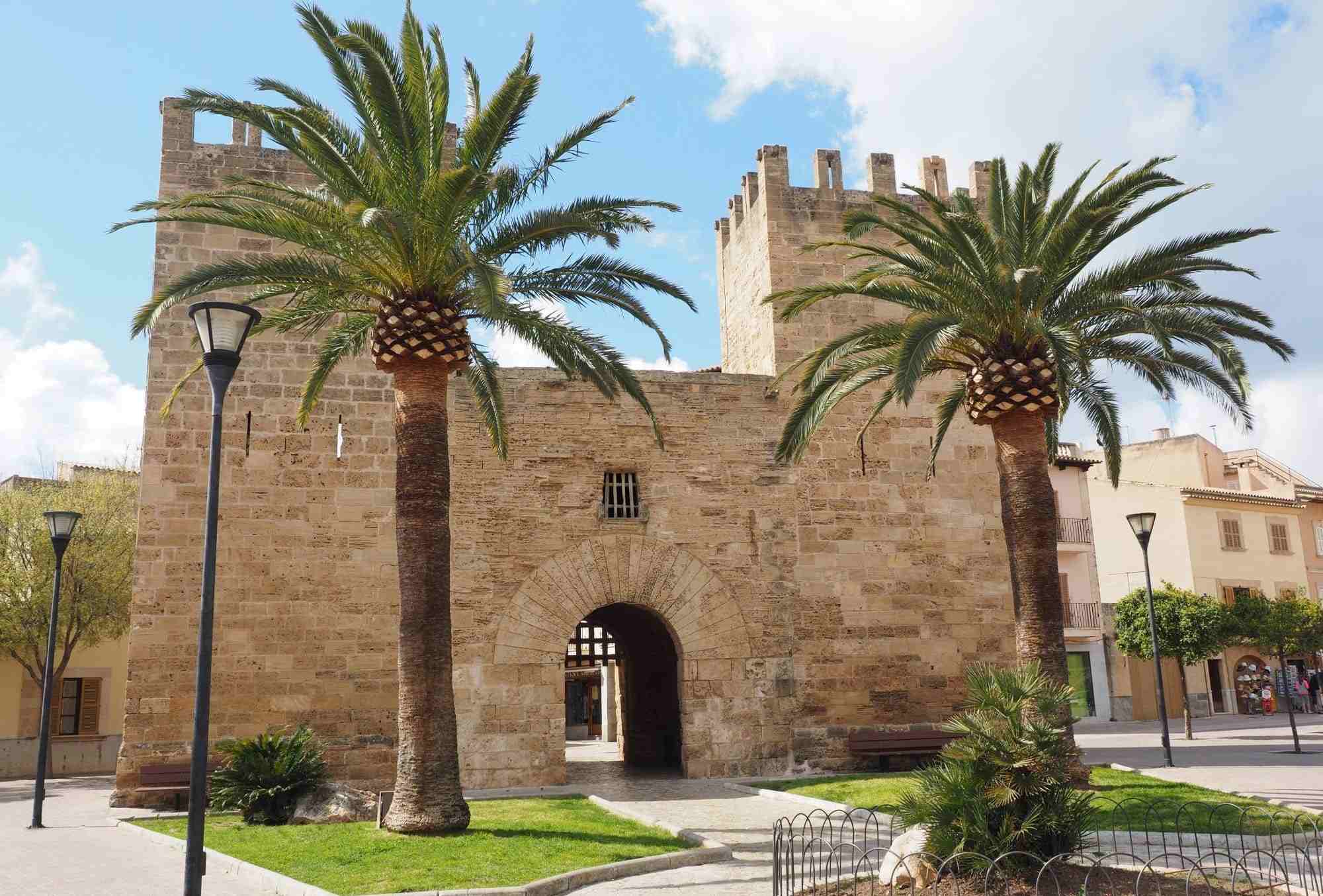 Inmobiliaria Alcudia REMAX Calm, expertos locales Mallorca Norte