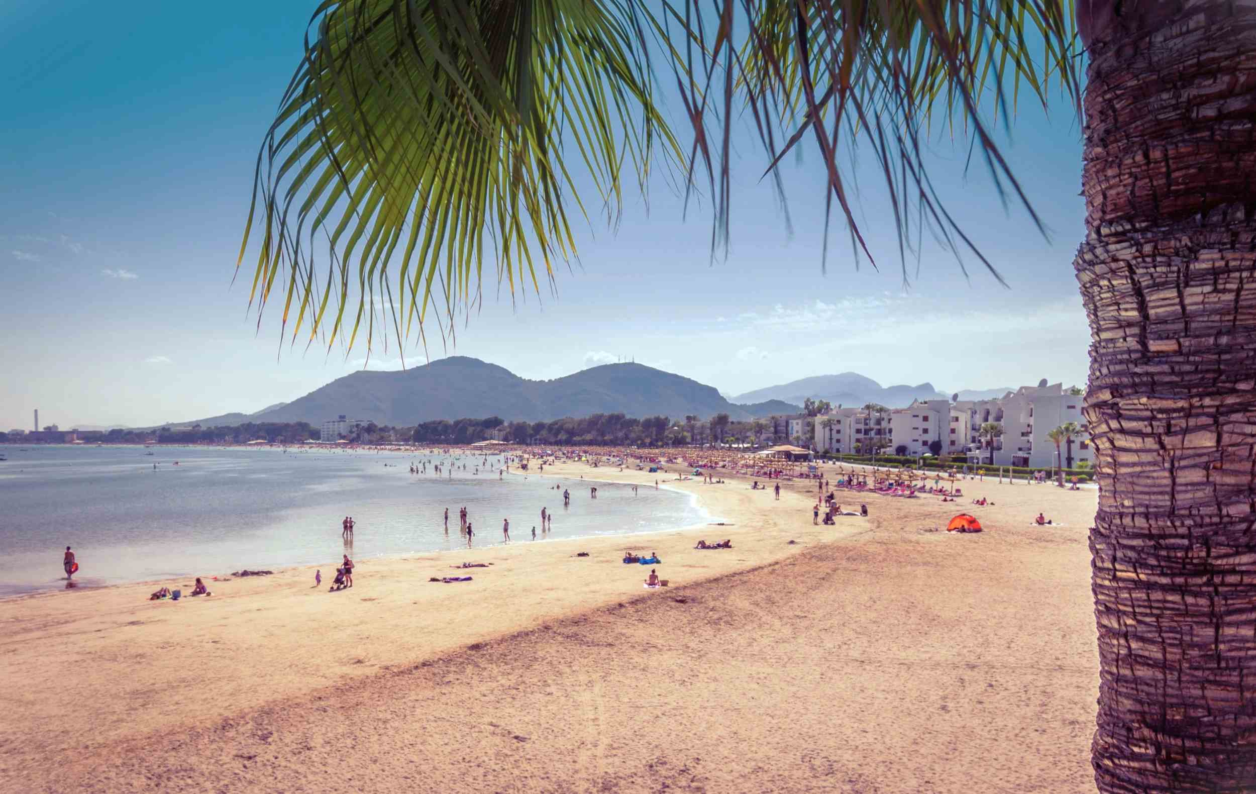 REMAX Calm, tu inmobiliaria Puerto Alcudia